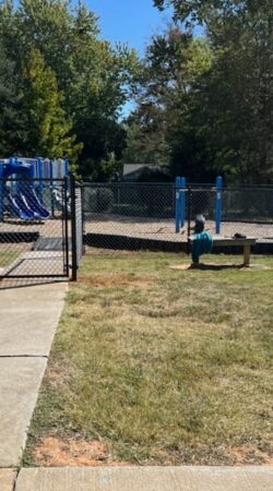 2afe8a07-1607-49da-bc32-df71f31338a6