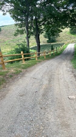 608552a4-8f9e-4195-bcb5-54846206bea6