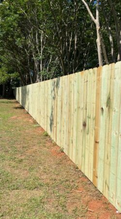 8f1656d9-fdc3-4d24-8385-3ae06fb25726