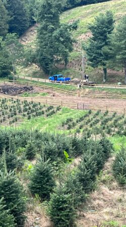 d4084e16-860f-4265-b73d-0e20d26ad3d8